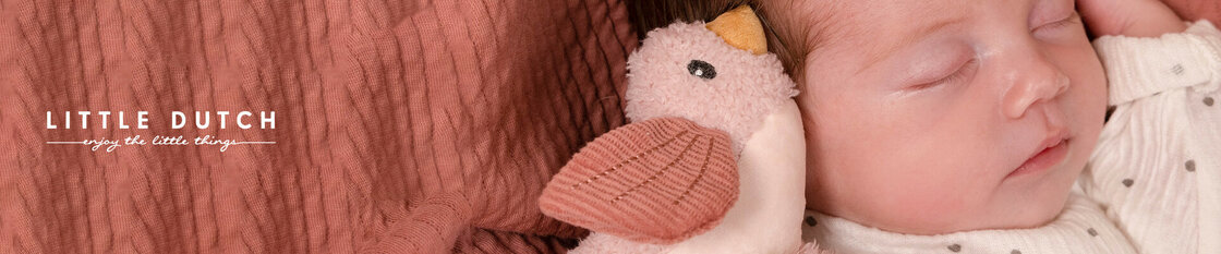 Bloemen en vlinders