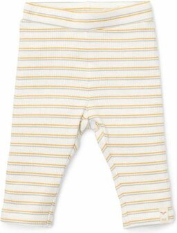 Broek Multi Stripe