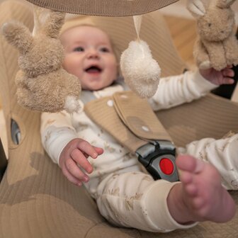 Little Dutch Baby Bunny - wagenspanner/autostoelspeeltje
