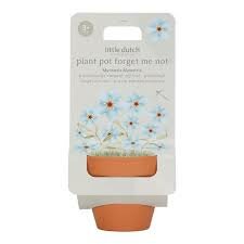 Little Dutch Plantenpotje vergeet me niet