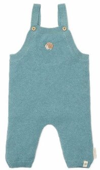 Litte Dutch Boxpakje Forrest Friends