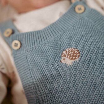 Litte Dutch Boxpakje Forrest Friends