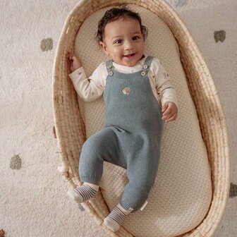 Litte Dutch Boxpakje Forrest Friends