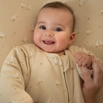 Little Dutcht Slaapzak winter &ndash; Beige &ndash; Maat 60 cm &ndash; Newborn Naturals &ndash; Little Goose