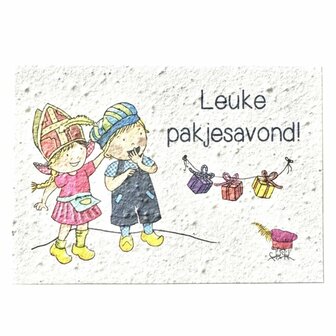 Fien en Teun Leuke pakjesavond