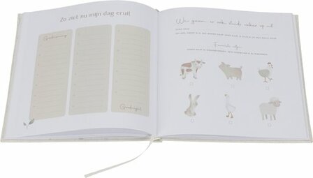 Little Dutch Babyboek Mijn eerst jaar