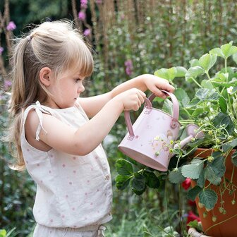 Little Dutch Gietertje Fairy garden
