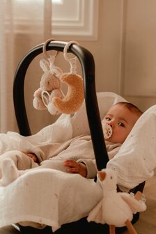 Little Dutch aktiviteitenhangers