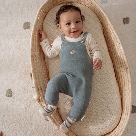 Litte Dutch Boxpakje Forrest Friends