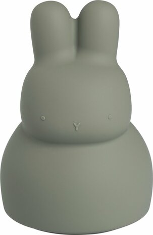 Baby's only spaarpot urban green