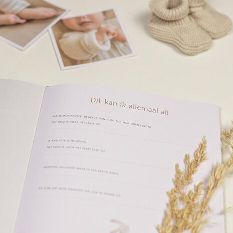 Little Dutch Babyboek Mijn eerst jaar
