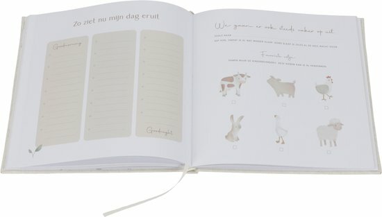 Little Dutch Babyboek Mijn eerst jaar