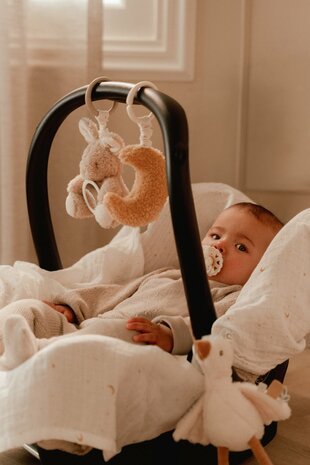 Little Dutch aktiviteitenhangers