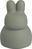 Baby's only spaarpot urban green